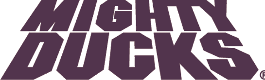 Mighty Ducks of Anaheim 1993-2006 Wordmark Logo t shirts iron on transfers